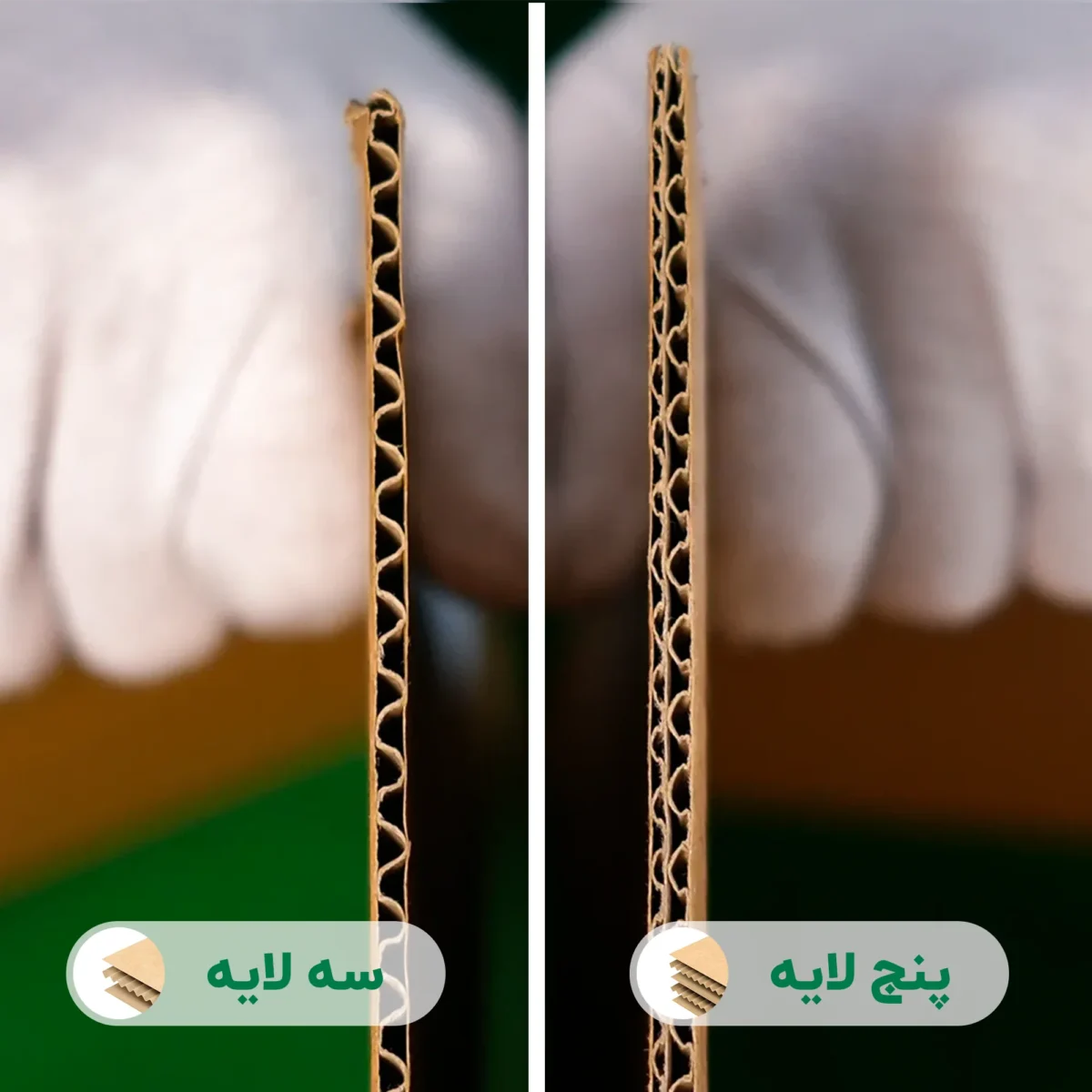 پرده تست دو با رنگ آبی